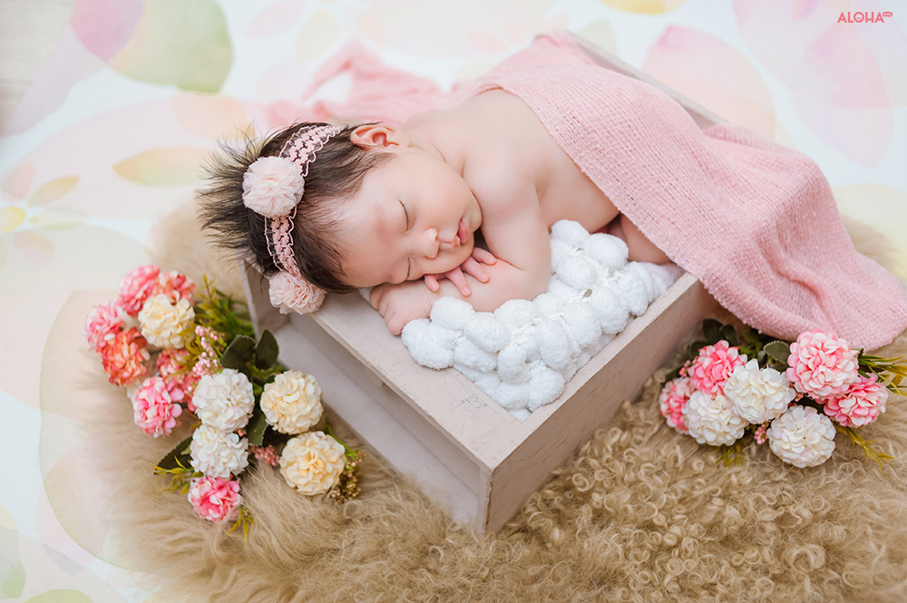 album ảnh newborn 23